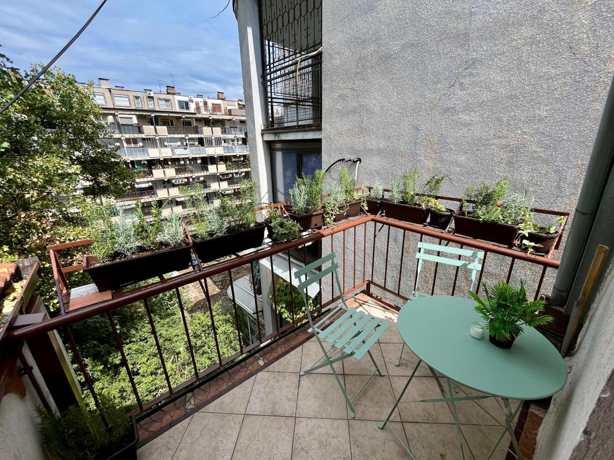 Urban Oasis Daire Belgrad Dış mekan fotoğraf